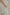 白色蕾絲拼接長褲，日本兩款蕾絲17片手工拼接修長內襯，優雅日常比例。